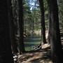 Donner Memorial State Park (SP)  / Donner Lake