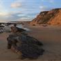 Crystal Cove State Park (SP)