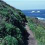 Garrapata State Park (SP)