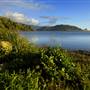 Humboldt Lagoons State Park (SP) / Big Lagoon, Stone Lagoon, Dry Lagoon & Freshwater Lagoon