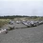 Kellogg Beach