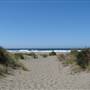 Little River State Beach (SB)