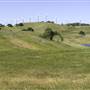 Pacheco State Park (SP) and Windmill Farm / Wind Energy