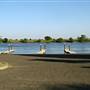 Brannan Island State Recreation Area (SRA)