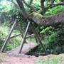 Del Norte Coast Redwoods State Park (SP) within the Redwood National and State Parks