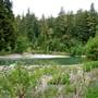 Grizzly Creek Redwoods State Park (SP)
