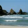 Jug Handle State Natural Reserve (SNR)