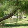 McConnell State Recreation Area (SRA)