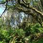 Tomales Bay State Park (SP)