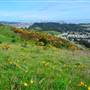 San Bruno Mountain State Park (SP)