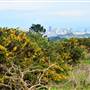 San Bruno Mountain State Park (SP)