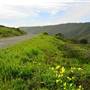 San Bruno Mountain State Park (SP)