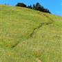 Mount Tamalpais State Park (SP)