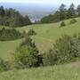 Mount Tamalpais State Park (SP)