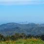 Mount Tamalpais State Park (SP)