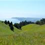 Mount Tamalpais State Park (SP)