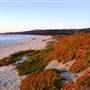 Half Moon Bay State Beach (SB)