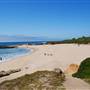 Pescadero State Beach (SB)