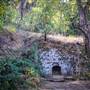 Shasta State Historic Park (SHP)