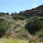 Vasquez Rocks Natural Area and Nature Center