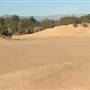 Heber Dunes State Vehicular Recreation Area (SVRA)