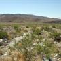 Indio Hills Palms Park Property