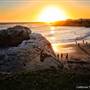 Natural Bridges State Beach (SB)