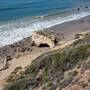 El Matador State Beach @ Robert H. Meyer Memorial State Beach (SB) - CFC