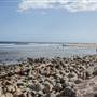 Surfrider Beach (LA County & Malibu) @ Malibu Pier (State) - CFC & FilmLA