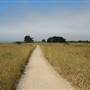 Año  Nuevo State Park (SP)