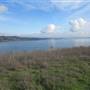 Benicia State Recreation Area (SRA)