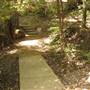 Big Basin Redwoods State Park (SP)