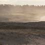 Asilomar State Beach and Conference Grounds
