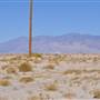 Olancha Sand Dunes - Bureau of Land Management - California Desert District - Ridgecrest Field Office - BLM - Off Highway Vehicle Area - OHV