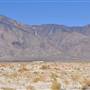 Olancha Sand Dunes - Bureau of Land Management - California Desert District - Ridgecrest Field Office - BLM - Off Highway Vehicle Area - OHV