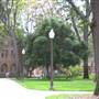 University of Southern California - USC