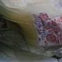 Chumash Painted Cave State Historic Park (SHP)