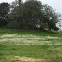 Chalk Hill Ranch