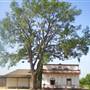 Pio Pico State Historic Park (SHP)