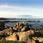 Asilomar State Beach and Conference Grounds