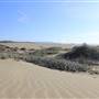Westport-Union Landing State Beach (SB)