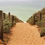 Baker Beach