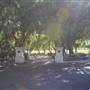 Mission Santa Ines