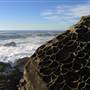 Salt Point State Park (SP)