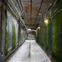 Alcatraz Island /  closed Alcatraz Federal Penitentiary
