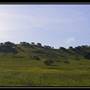 Pacheco State Park (SP) and Windmill Farm / Wind Energy