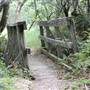 Samuel P. Taylor State Park (SP)