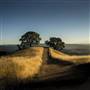 Mount Diablo State Park (SP)