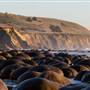Schooner Gulch State Beach (SB) / Bowling Ball Beach