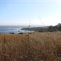 Salt Point State Park (SP)